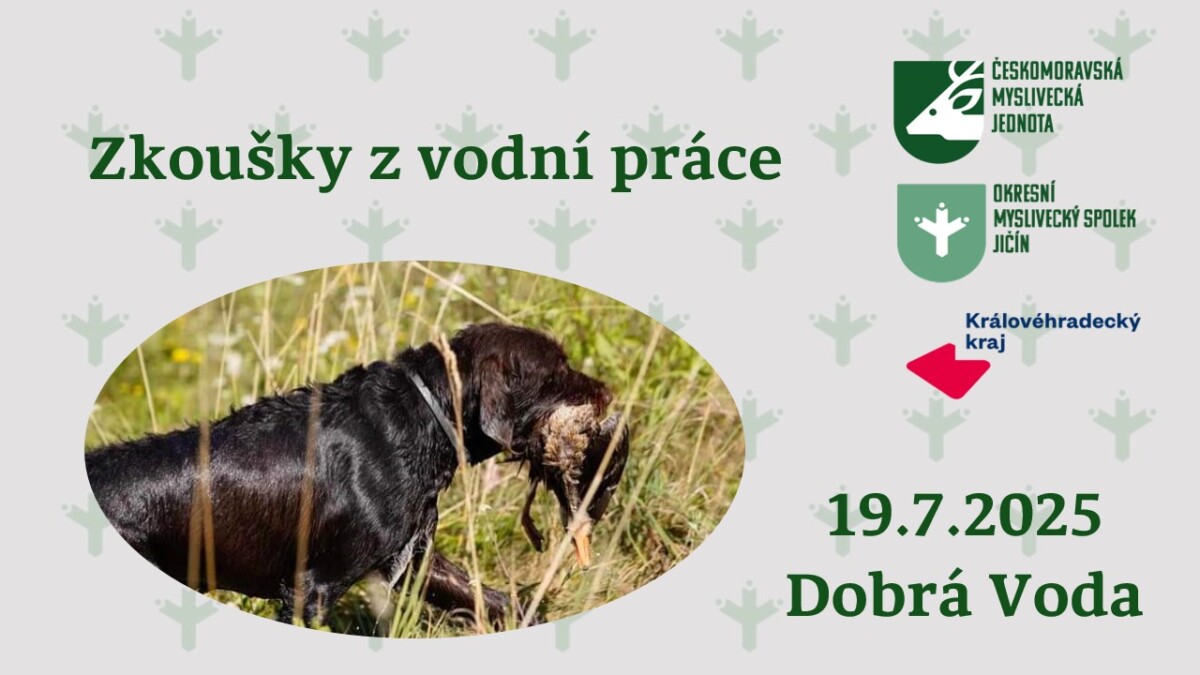 ZVP