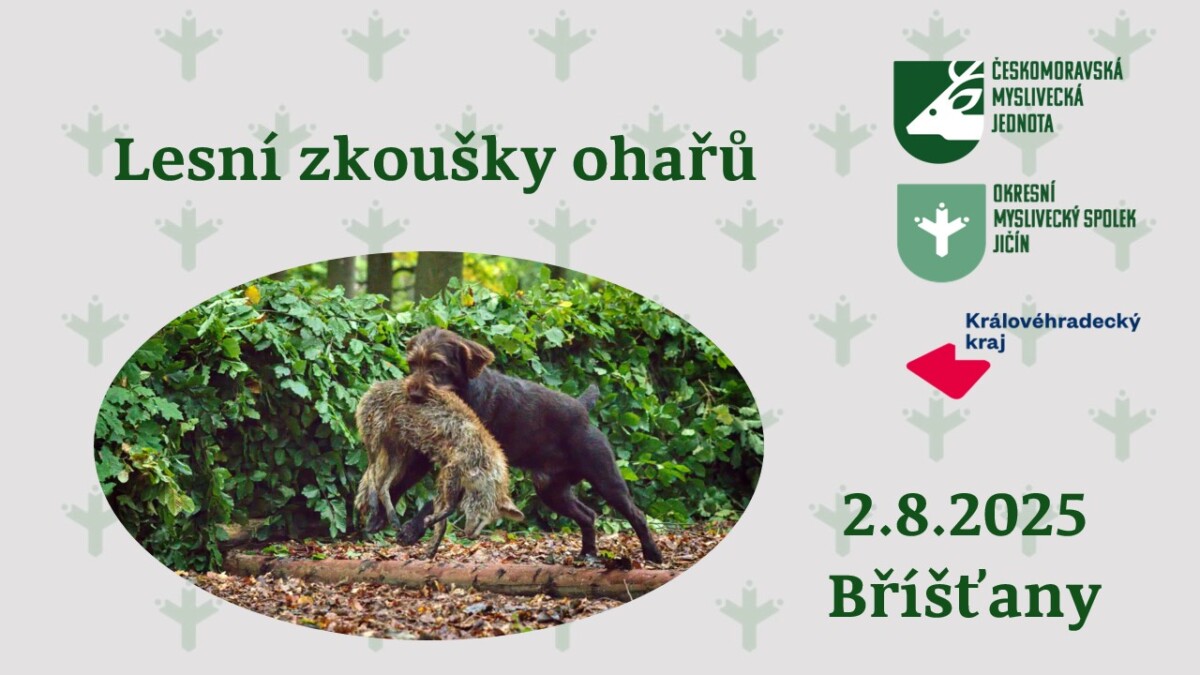 LZ ohaři