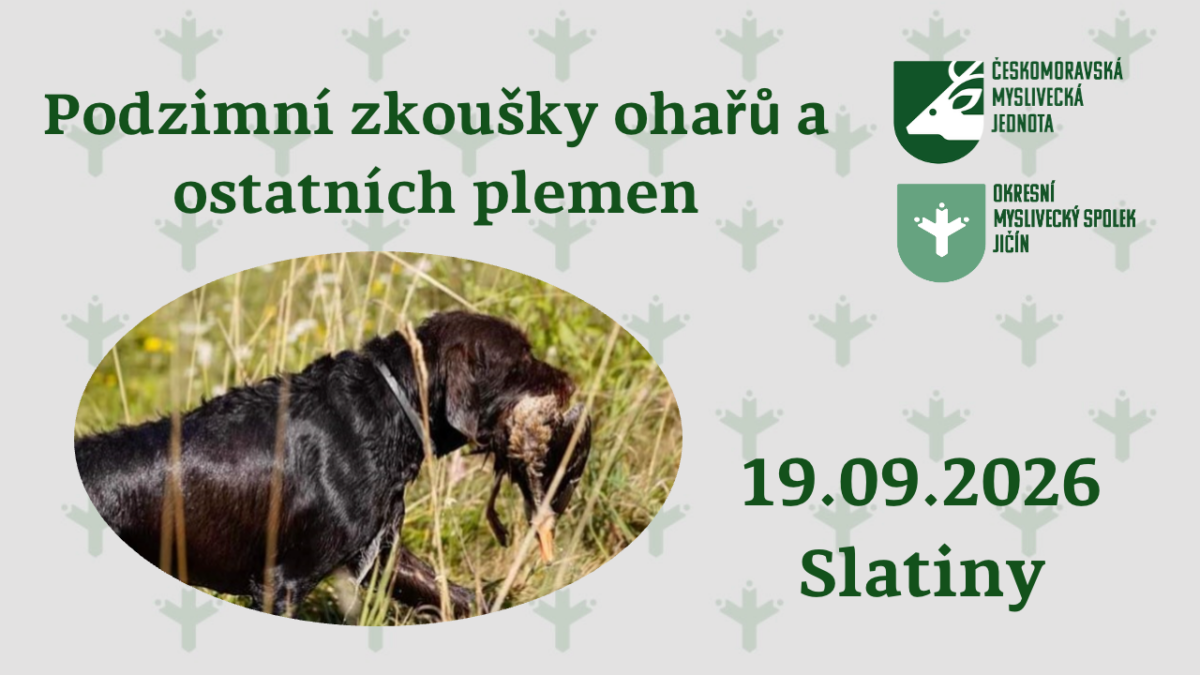 PZ Slatiny